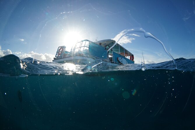 Waikiki Snorkel Tour - Should You Book This Waikiki Snorkel Tour?