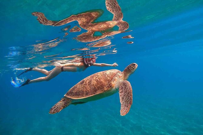 Waikiki Snorkeling Adventures with E Sea Diver! - Quick takeaways before you book
