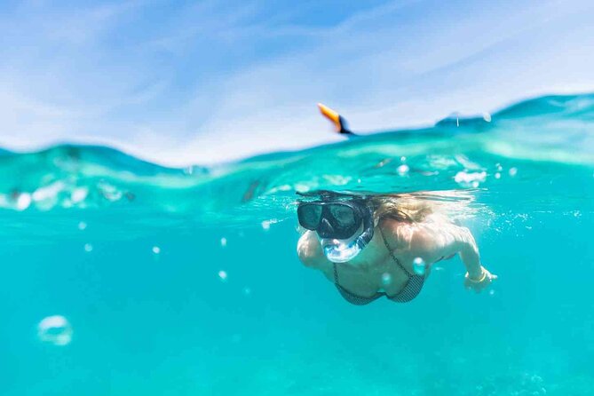 Waikiki Snorkeling Adventures with E Sea Diver! - Waikiki’s coast from Pier E: what the day feels like