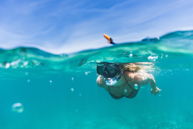 Waikiki Snorkeling Adventures with E Sea Diver! - The boat vibe: slides, trampolines, and the “fun boat” side of snorkeling