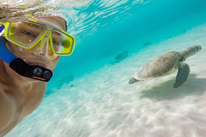 Waikiki Snorkeling Adventures with E Sea Diver! - Who this trip suits best (and who should pick something else)