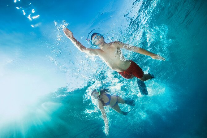 Waikiki Snorkeling Adventures with E Sea Diver! - Should you book Waikiki snorkeling with E Sea Diver?