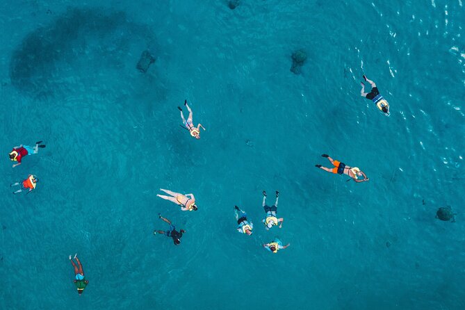 Waikiki: Turtle Canyon Snorkel - Turtle Canyon Snorkel Time: How the Swim Session Really Feels