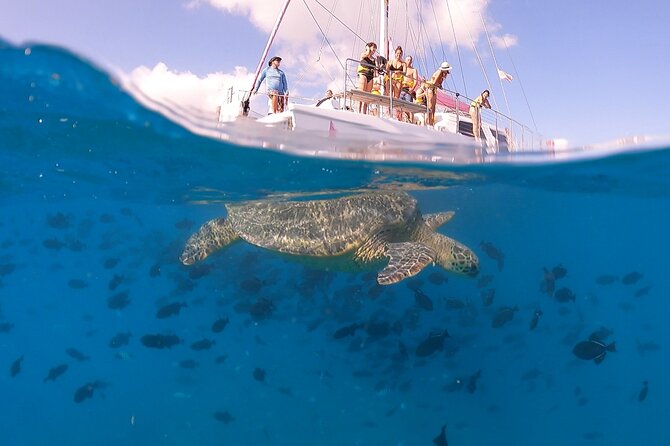 Waikiki: Turtle Canyon Snorkel - What Gear You Get (and What You Should Bring Anyway)