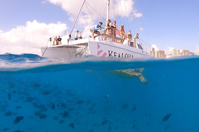Waikiki: Turtle Canyon Snorkel - Swimming Skills and Ocean Reality (Don’t Skip This Part)