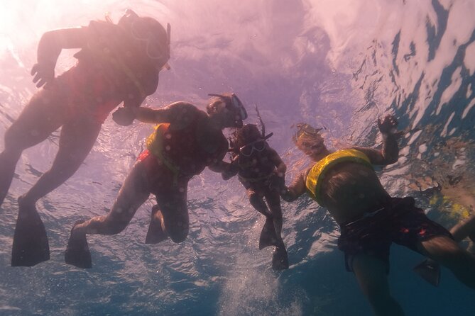 Waikiki: Turtle Canyon Snorkel - Price and Value: What $68.60 Is Buying You