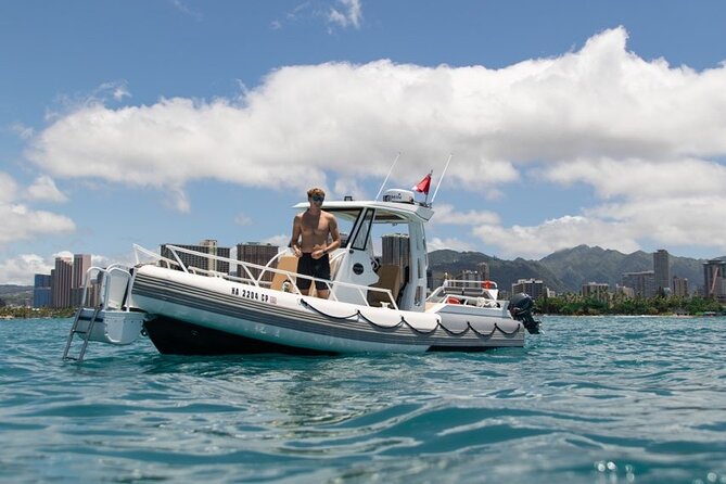 Waikiki Turtle Canyon Snorkel: Turtles Guaranteed - Open-water reality check: swimming comfort and seasickness tips