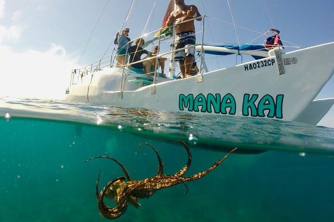 Waikiki Turtle Snorkel and Sail on Hawea Catamaran - Hawea Catamaran Crew: How Safety and Help Work in Practice