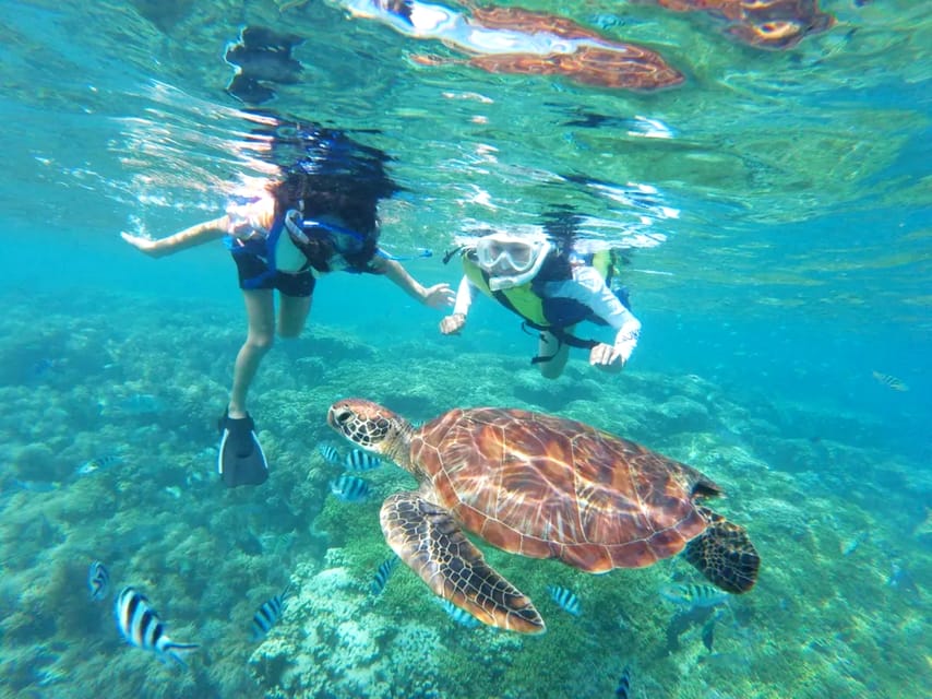Waikiki: Turtle Snorkeling Cruise with 20ft Jumping Platform - Entering the water from Waikiki: how this tour feels