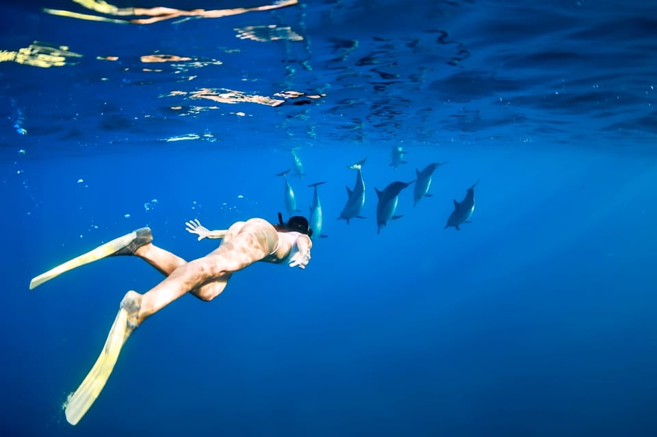 Waikiki: Turtle Snorkeling Cruise with 20ft Jumping Platform - Snorkeling gear and comfort: what’s included and what to bring