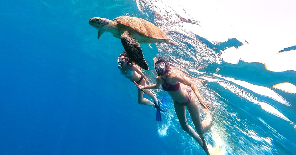 Waikiki: Turtle Snorkeling Cruise with 20ft Jumping Platform - Views of Oahu from a multi-level catamaran