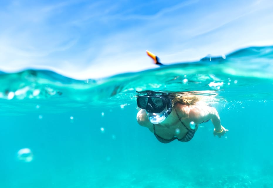 Waikiki: Turtle Snorkeling Cruise with 20ft Jumping Platform - Getting to the catamaran: pickup and check-in without stress