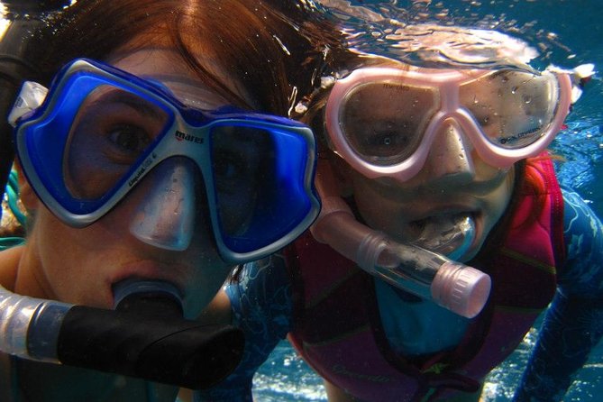 West Oahu Afternoon Turtle Snorkel Sail - Snorkeling Gear and Crew Support That Makes a Difference