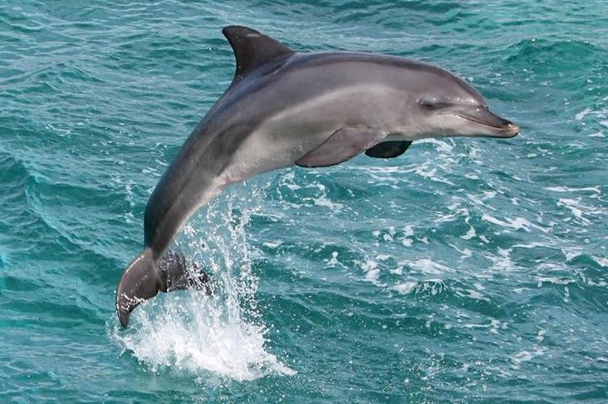 West Oahu Deluxe Whale Watching Sail - The free re-ride rule: what it means for your risk tolerance
