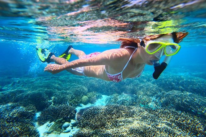 West Oahu Dolphin Watch and Snorkel Sail with Lunch - Breakfast While the Crew Looks for Spinner Dolphins and More