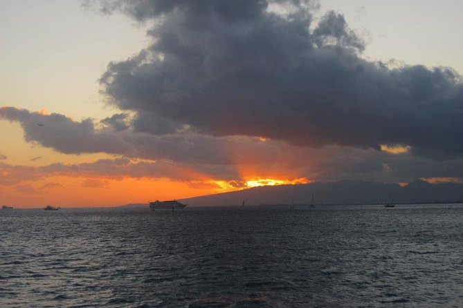 West Oahu Sunset Cocktail Cruise with Appetizers - Wildlife spotting on West Oʻahu: dolphins, turtles, and whale season odds