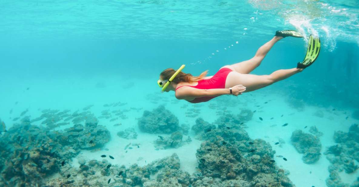 West Oahu: Turtles, Dolphins, and Snorkeling Tour with Lunch - Wai‘anae Small Boat Harbor Dock C: Your Easy Start