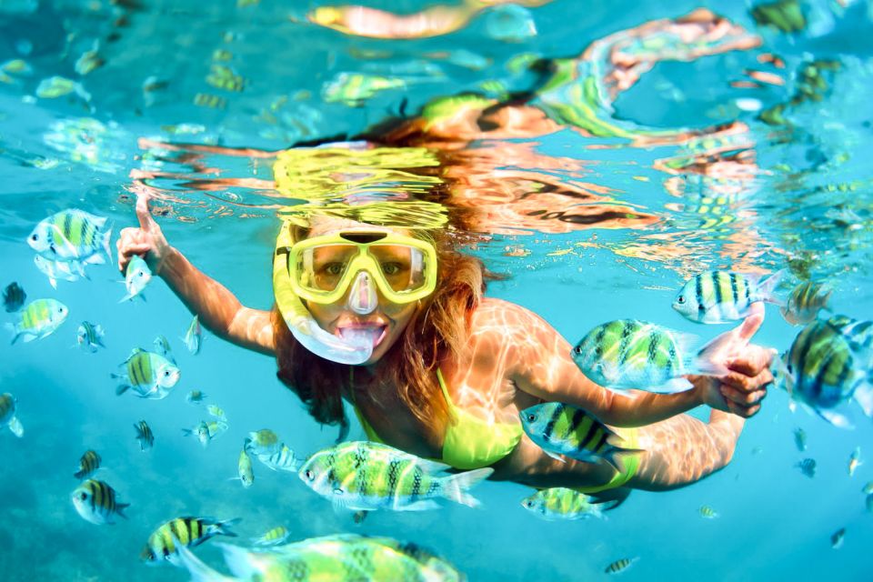 West Oahu: Turtles, Dolphins, and Snorkeling Tour with Lunch - Snorkel Stop for Green Sea Turtles: Gear, Guidance, and What Conditions Can Change