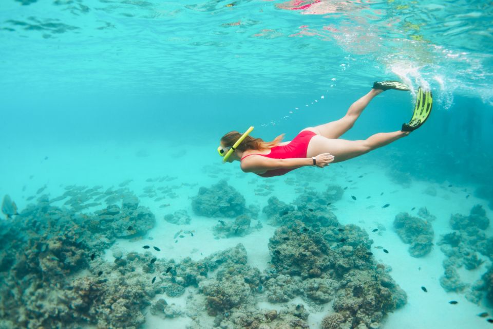 West Oahu: Turtles, Dolphins, and Snorkeling Tour with Lunch - Lunch on Board + Full Premium Bar: Why This Tour Feels Worth It
