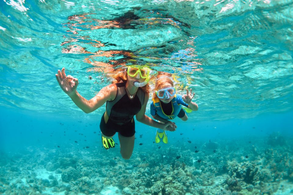 West Oahu: Turtles, Dolphins, and Snorkeling Tour with Lunch - Price and Value: Is $139 Fair for 3 Hours?