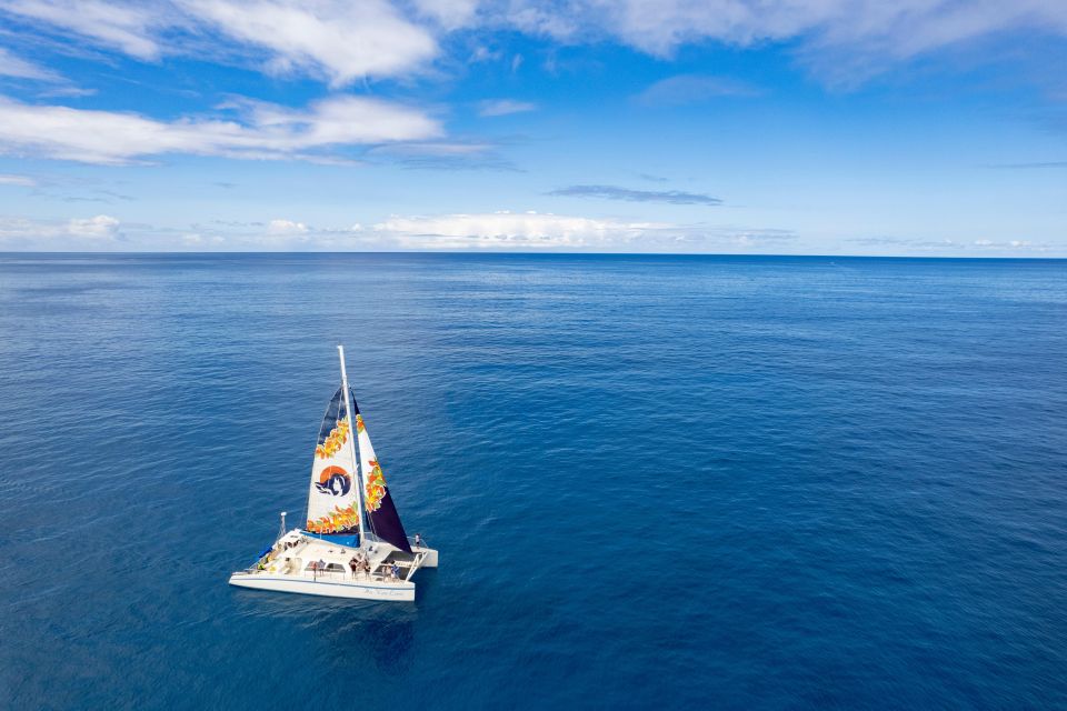 West Oahu: Turtles, Dolphins, and Snorkeling Tour with Lunch - Who This Tour Suits Best (and Who Might Want Another Option)