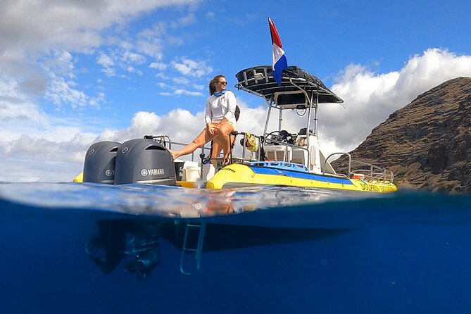 Wild Dolphin Watching and Snorkel Safari Off West Coast of Oahu - Key things I’d circle before booking
